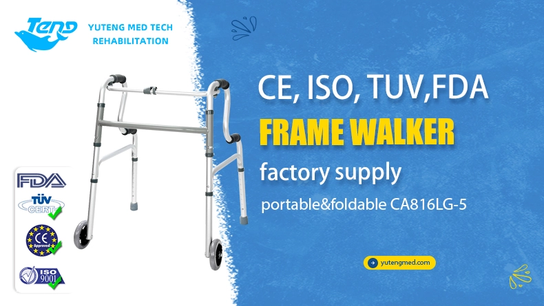 Walking Frame For The Disabled